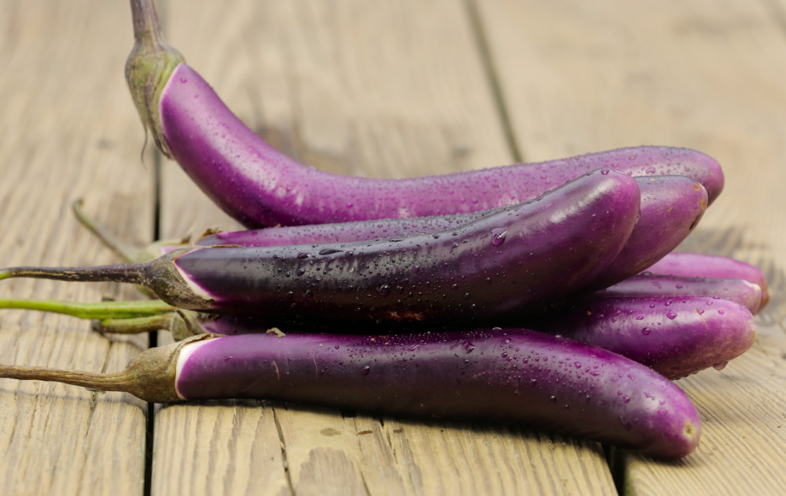 Eggplant Great Joy Family Farm