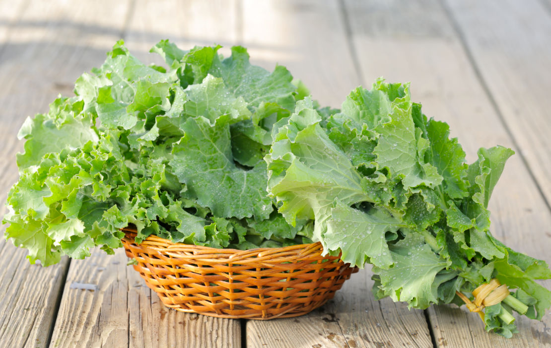 Fresh Produce Organic Green Kale Fruit Vegetables Great Joy Family Farm