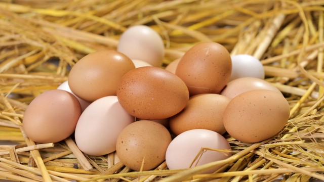 Large Brown Eggs-3