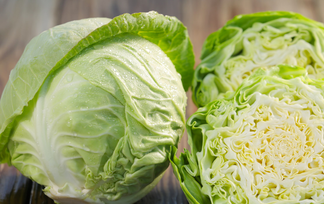 Fresh Organic Cabbage, Locally Grown Great Joy Family Farm