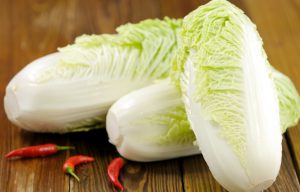 Napa Cabbage