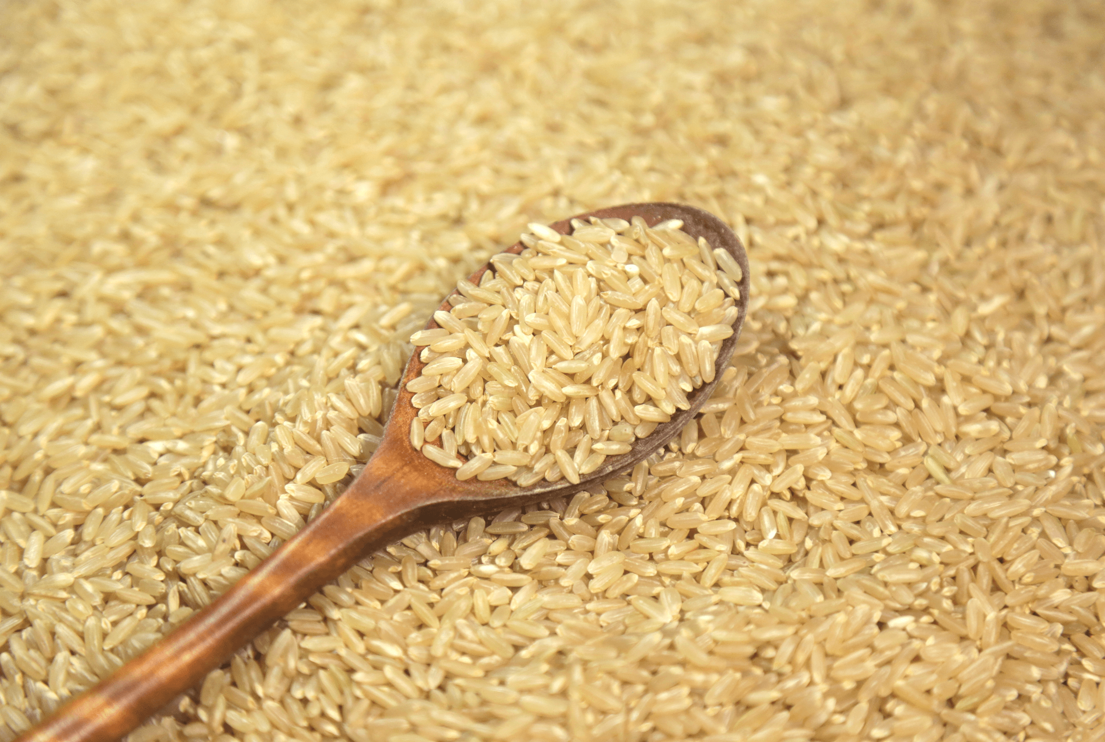 Fragrant Brown Rice