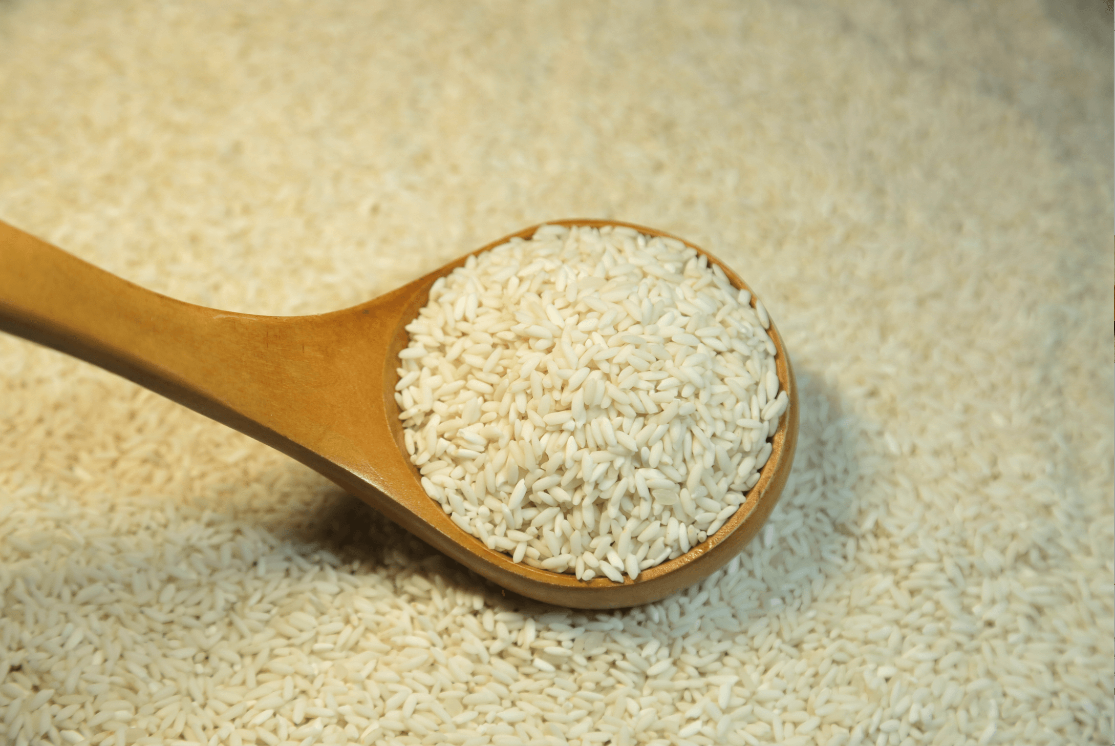Neches Sweet Rice