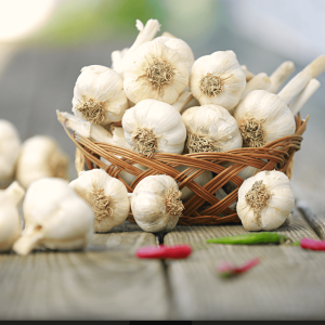 Rosewood Garlic