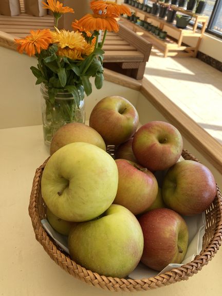 Evercrisp Apples